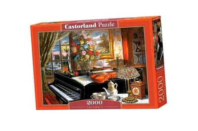 PUZZLE 2000 ENSEMBLE CASTOR, CASTORLAND