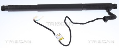 AMORTIGUADOR ELÉCTRICO TAPONES DE MALETERO BMW X6 06.07-07.14 DERECHO 871011302  