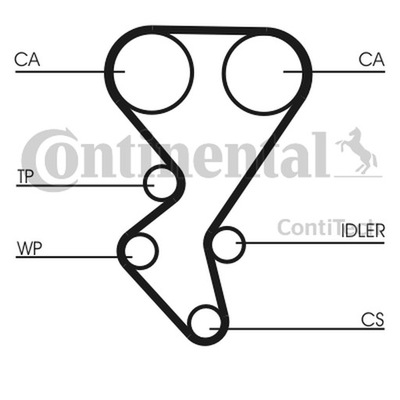 CONTITECH CORREA DISTRIBUCIÓN PEUGEOT 1,6HDI CT1092  