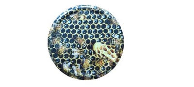 10x wieczka zakrętki miód gromada pszczoł FI82