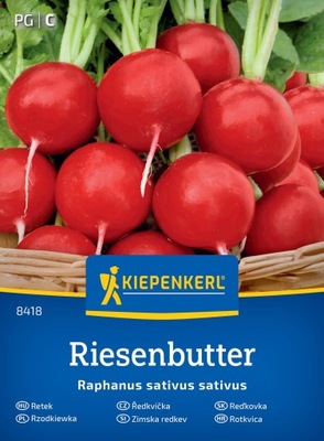 Rodkiewka Riesenbutter Kiepenkerl 8418