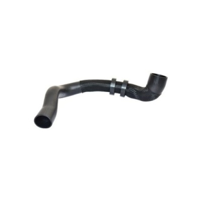 Bugiad 88807 шланг воздуха наддувочный фото №1