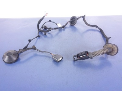 Hyundai tucson ii джгут двері права задня фото №1