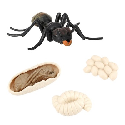 Symulacja życia mrówek Figurki Wyobraźnia