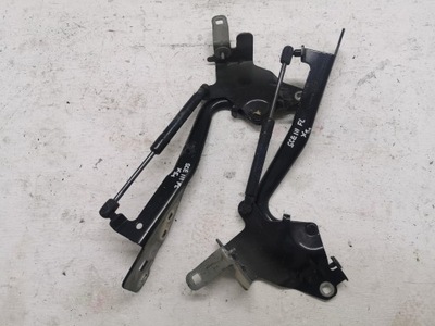 Петлі капот комплект renault scenic iii 08-16 фото №1