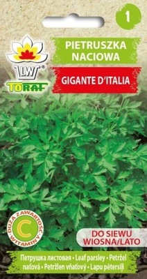 Pietruszka Naciowa GIGANTE D'ITALIA 2 g