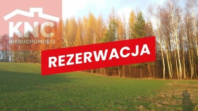 Działka, Łękawica, 7700 m²
