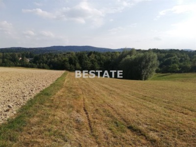 Działka, Joniny, Ryglice, Tarnowski, 5300 m²