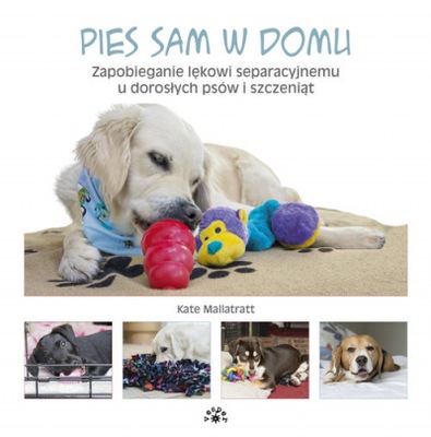 Pies sam w domu Zapobieganie lękowi separacyjnemu