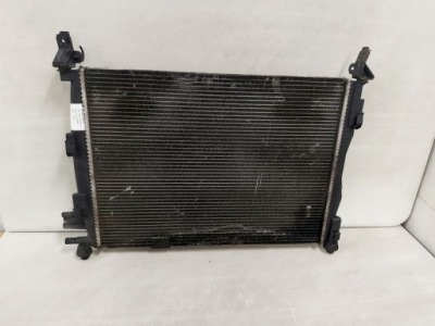 Qashqai j10 1.5 dci радіатор рідина води фото №1