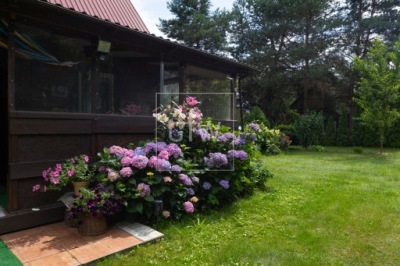 Dom, Głuchów, Grójec, Grójecki, 800 m²