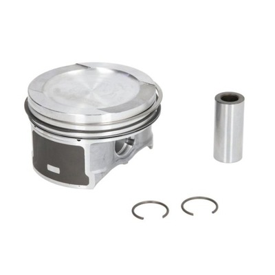 Поршень nural фото №1