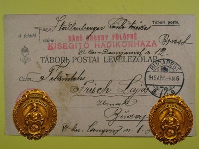 1915 Feldpost K.u.K Lux Express S869