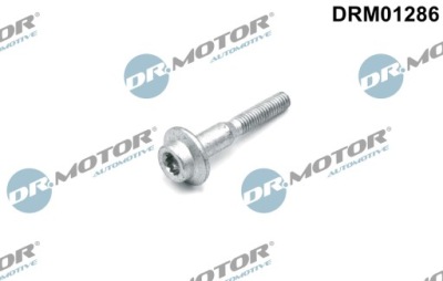 Dr.motor drm01286 болт, форсунка фото №1