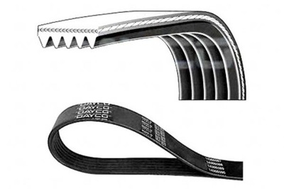 Dayco ремень многоручьевой 5pk1650 hyundai i10 i20 фото №1
