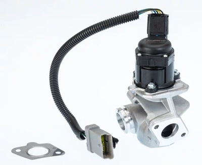 VOŽTUVAS EGR AGR 710936D/1 BORGWARNER (WAHLER) 