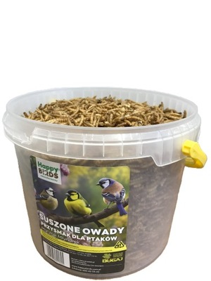 Mącznik młynarek larwy owady suszone pokarm dla ptaków 600g Happy Birds