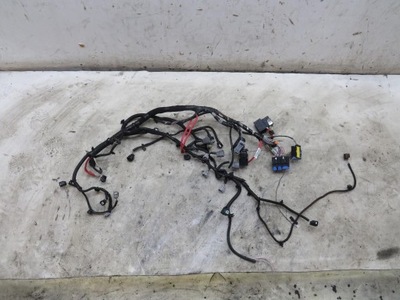 Жгут двигателя clio iv 0.9 tce 248114701r фото №1