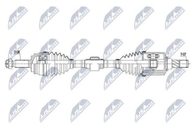 NTY NPW-CH-060 VELENAS PAVAROS KAIRYSIS 