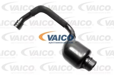 VAICO V10-4491 SEPARATOR ALYVOS LAIDAS PASSAT 2.0 