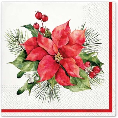 SERWETKI PAW2022 BN TL233200