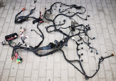 Renault koleos ii 2.0 dci m9r w730 жгут электропроводка двигателя фото №1