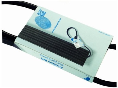 Ремінь багатореберний renault thalia ii 1.5 08- i 1.5 01-09 фото №1