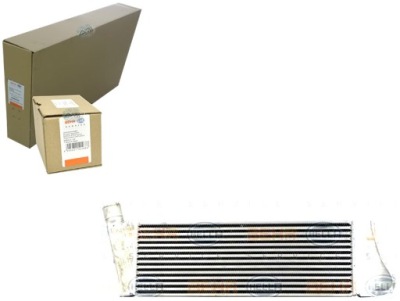 Behr hella интеркулер renault megane 2 фото №1