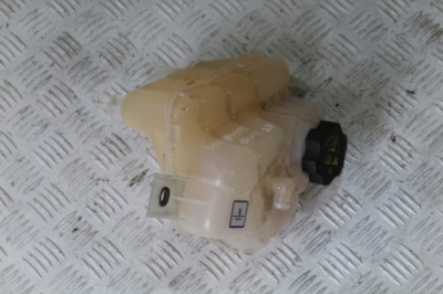 Бачок розширювальний stelvio 50548702 фото №1