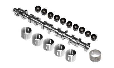 Вал розподільного валу vw t5 2.5tdi touareg чавунний комплект фото №1