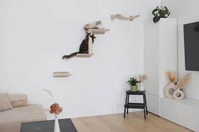 Ścianka wspinaczkowa kociostrada drapak legowisko dla kotów kota
