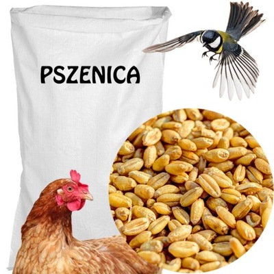 Pszenica Ziarno Pokarm Karma dla ptaków 10 kg