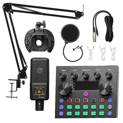 Professional Condenser Microphone To Sing Podcast Music Studio Recording