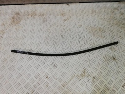 Молдинг ущільнювач ліва задня задня scenic iii фото №1