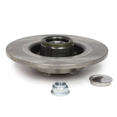 Диск тормозная задняя renault grand scenic ii фото №1