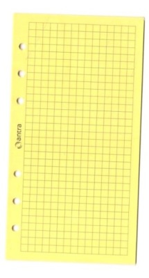 WKŁAD DO ORGANIZERA ST/KRATKA ŻÓŁTA