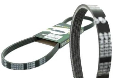 Ремінь клиновий багатореберний 4pk1237 bga фото №1