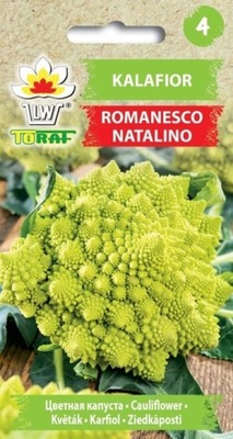 KALAFIOR 'ROMANESCO' - ozdobny i smaczny (T)