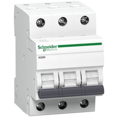 Wyłącznik automatyczny Schneider Electric 0V IP20