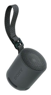 Głośnik Sony SRS-XB100 Czarny