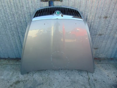 Капот кришка двигуна skoda octavia ii lift 9202 решітка радіатора решітка радіатора фото №1