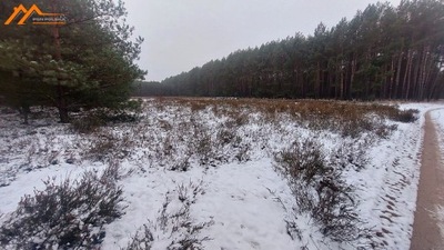 Działka, Biała, Wieleń (gm.), 8300 m²