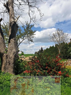 Działka, Lublin, Szerokie, 4000 m²