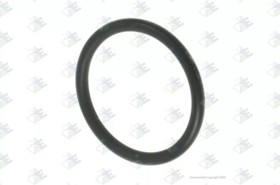 Уплотнительное кольцо iveco iveco 17282381 euroricambi 30530503 фото №1