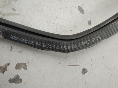 Skoda scala прокладка двері правий задня 657867368 фото №1