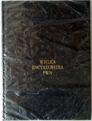 Wielka encyklopedia PWN Tom 3/30 SPK