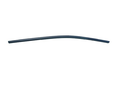 Молдинг двері задня права hyundai i10 iii 19- фото №1