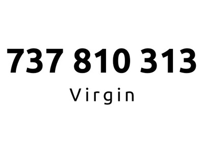 737-810-313 | Starter Virgin (81 03 13) #C