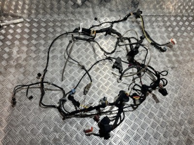 Жгут левый лонжерон porsche cayman 987 05- 2.7 фото №1