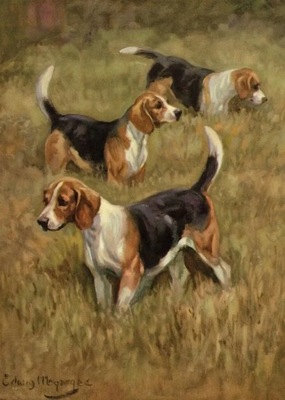 Diamond Painting Nowy 5D DID diamentowy obraz beagle haft diamentowy uroczy